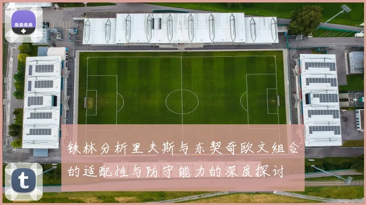 铁林分析里夫斯与东契奇欧文组合的适配性与防守能力的深度探讨