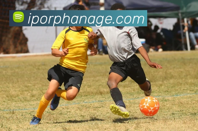 辅助工具 辅助工具